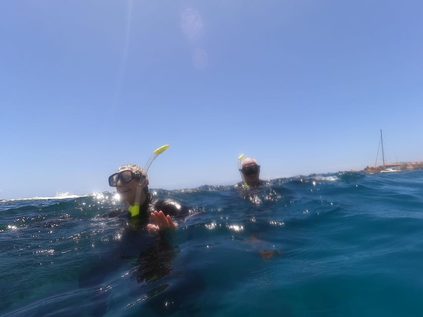 Snorkeling in tenerife south: Discover the underwater world - Fish, rock formations, and possible larger animals