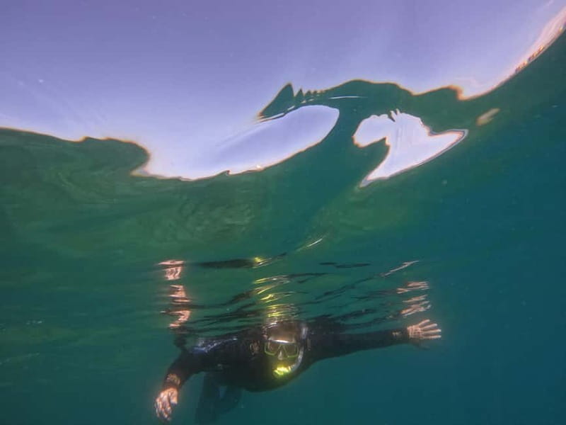 Snorkeling in tenerife south: Discover the underwater world - What the $47 price includes