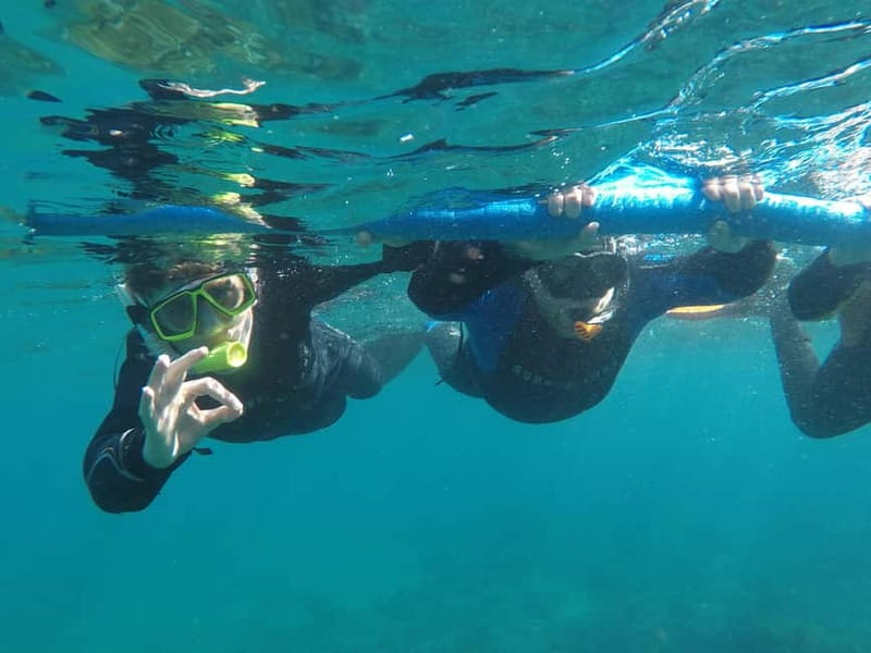Snorkeling in tenerife south: Discover the underwater world - Who should book this experience