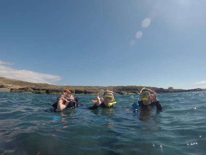 Snorkeling in tenerife south: Discover the underwater world - Languages, flexibility, and booking terms