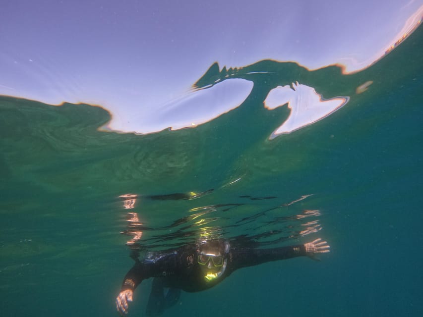 Snorkeling in tenerife south: Discover the underwater world - My final call: good value for a supported first snorkeling session