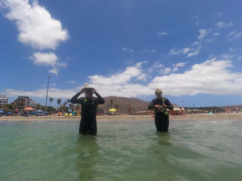 Snorkeling in tenerife south: Discover the underwater world - The one-hour safety briefing and equipment fitting
