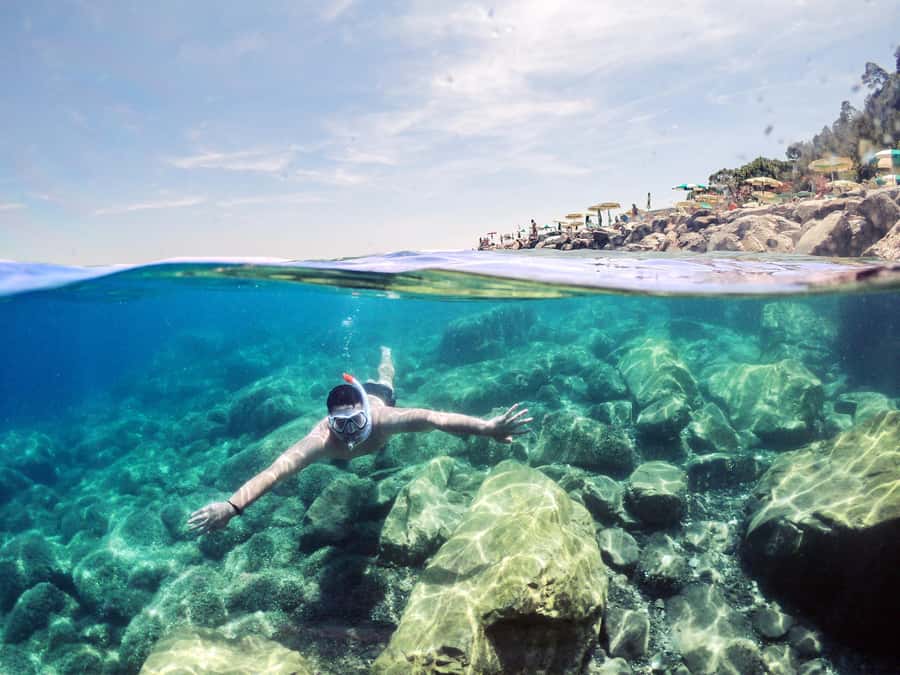Snorkeling in The Red Sea With Equipment And Free Transfer - Key points at a glance