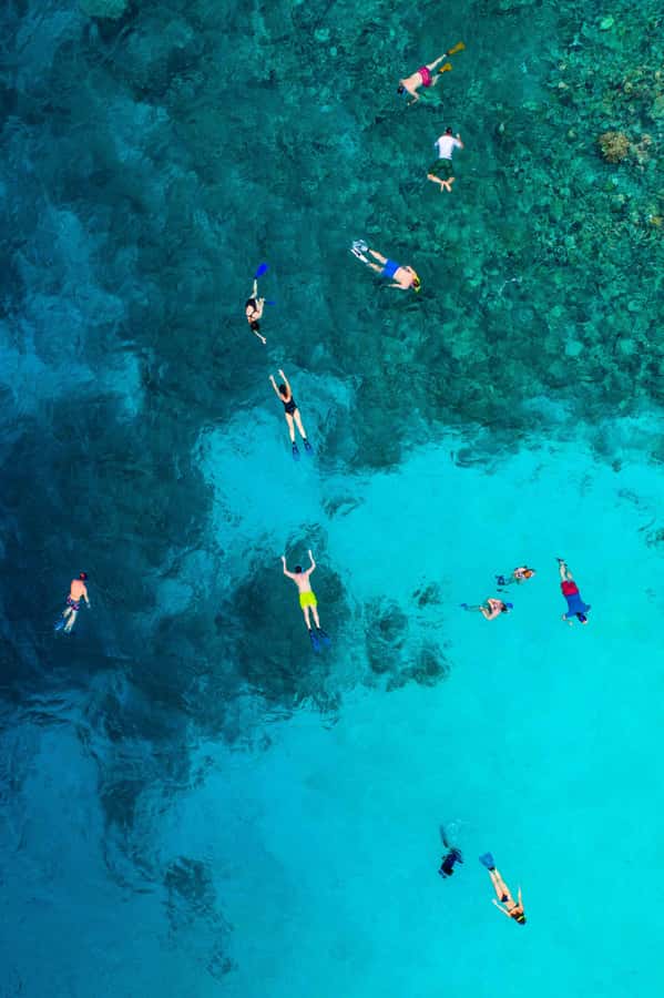 Snorkeling in The Red Sea With Equipment And Free Transfer - Is $51 a fair price?