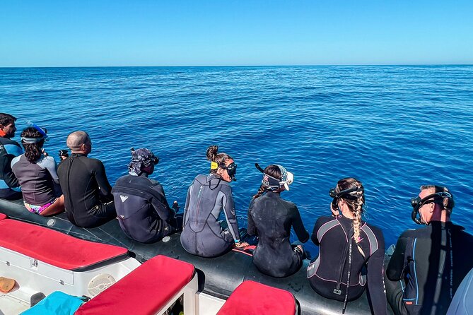 Snorkeling Open Ocean Wildlife Safari in Los Cabos with Photos Included - The possible reef stop at Chileno Bay