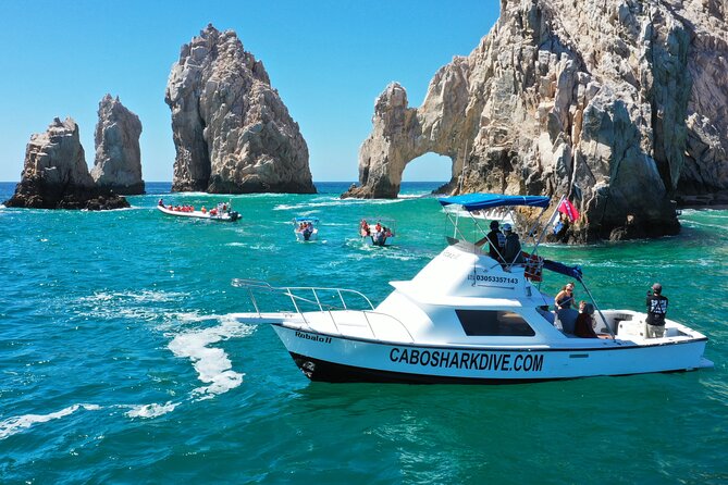 Snorkeling or Swimming with Sharks in Cabo San Lucas - The major catch: no shark guarantee