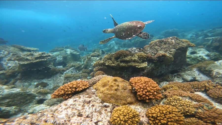 Snorkeling St-Pierre Marine Park and Anse Petite Cour - Weather, flexibility, and seasonal conditions