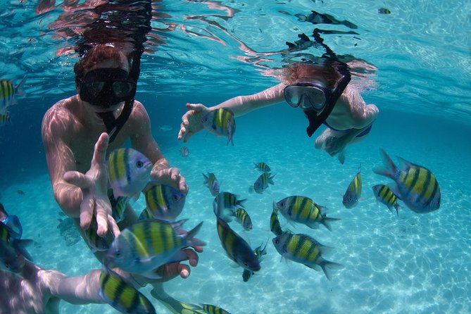 Snorkeling Tour at Land's End in Cabo San Lucas - Pelican Rock gives you a quick look at Cabo’s underwater side