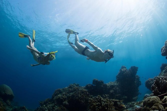 Snorkeling Tour at Land's End in Cabo San Lucas - A flexible boat trip, not always a guided snorkeling lesson