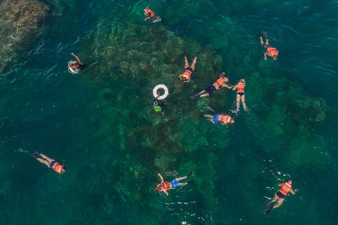 Snorkeling tour in Cabo San Lucas - What makes Chileno Bay appealing