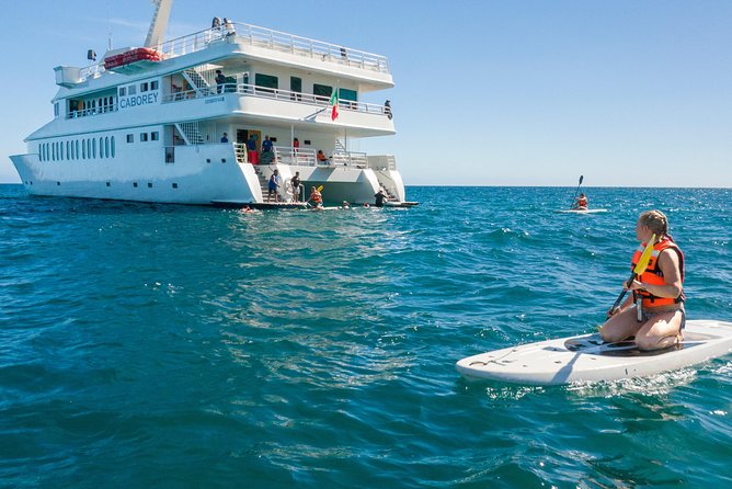 Snorkeling tour in Cabo San Lucas - Seeing El Arco from the water