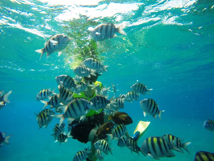 Snorkeling Tour & Sosua Beach Day - Key points at a glance