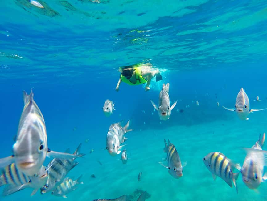 Snorkeling Tour & Sosua Beach Day - Two reefs, one easy beach day