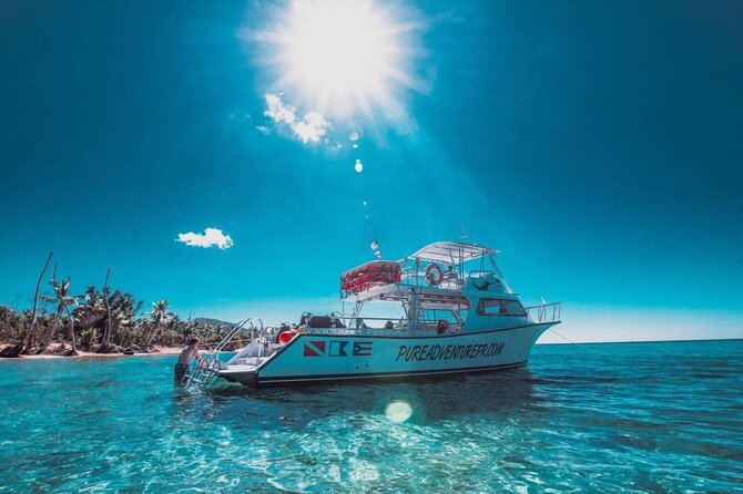 Snorkeling Tour to Vieques Island only 30 minutes away! - A fast route from Ceiba to Vieques