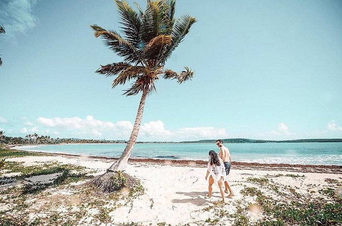 Snorkeling Tour to Vieques Island only 30 minutes away! - The crew makes the largest difference