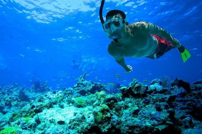 Snorkeling Tour to Vieques Island only 30 minutes away! - Who will enjoy this outing most