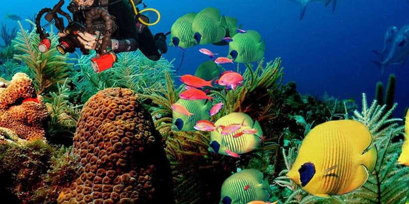 Snorkeling Trip from Polhena Beach, Matara, Sri Lanka - What the Polhena Beach setting adds
