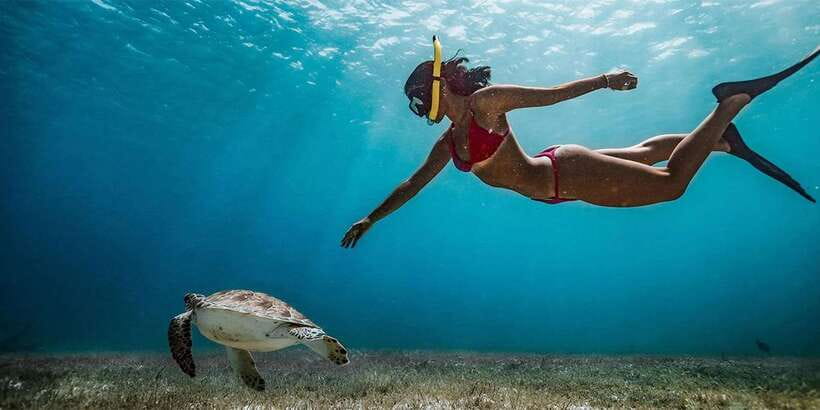 Snorkeling Trip from Polhena Beach, Matara, Sri Lanka - Turtles, fish, coral, and realistic wildlife hopes