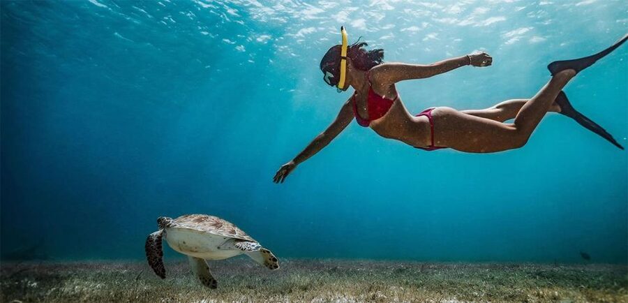 Snorkeling Trip from Polhena Beach, Matara, Sri Lanka - Practical tips for making the hour count