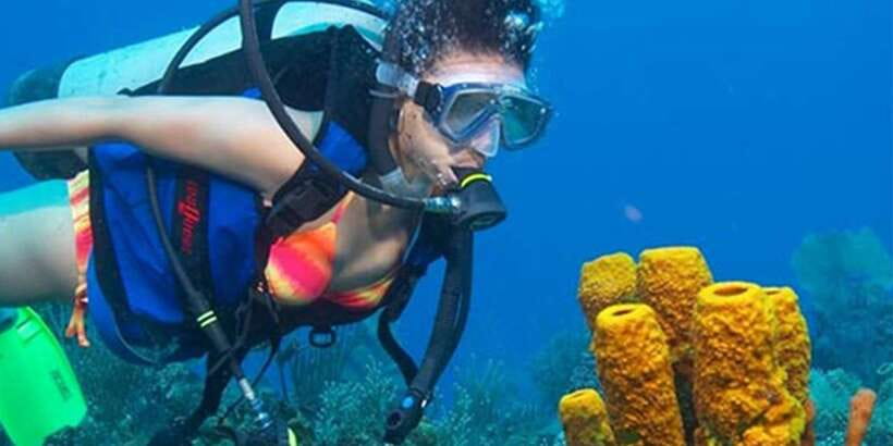 Snorkeling Trip from Polhena Beach, Matara, Sri Lanka - The 1.5-hour plan, from meeting point to sea