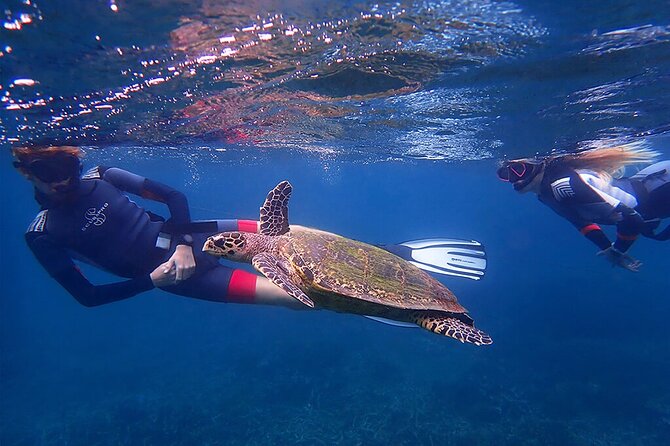 Snorkeling Trip To Pigeon Island - Who will get the most from this trip