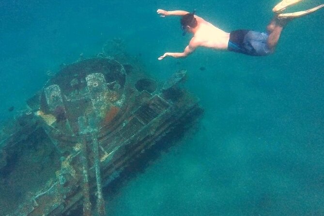 Snorkeling Trip with pick up ( beach) - The Japanese Garden and Aqaba’s underwater sights