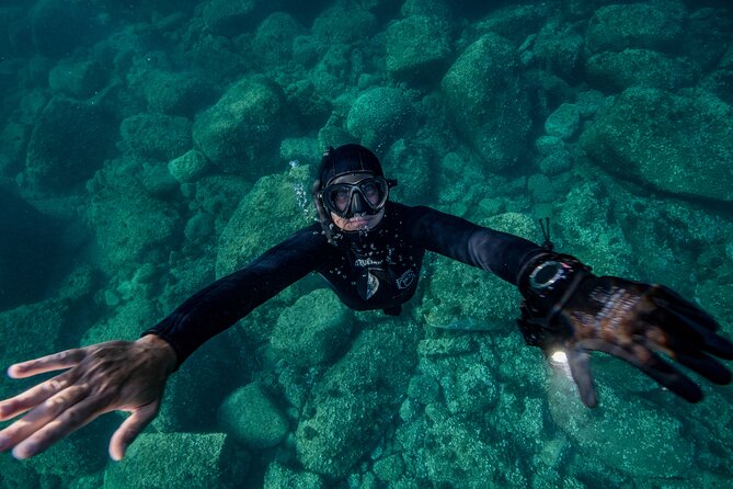 Snorkeling with Marine Biologist Expert from Sorrento - What you see below the surface