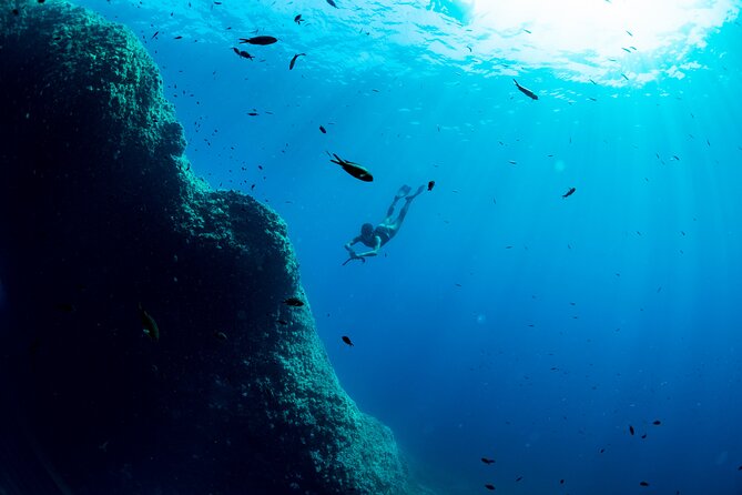Snorkeling with Marine Biologist Expert from Sorrento - The guides make the difference