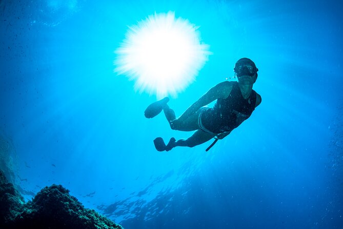 Snorkeling with Marine Biologist Expert from Sorrento - Is the four-hour outing good value at $115.24?