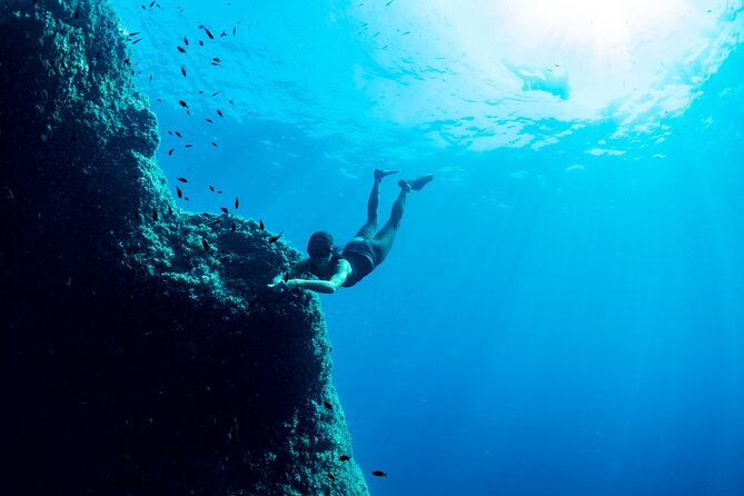 Snorkeling with Marine Biologist Expert from Sorrento - Getting fitted with a wetsuit, mask, and snorkel