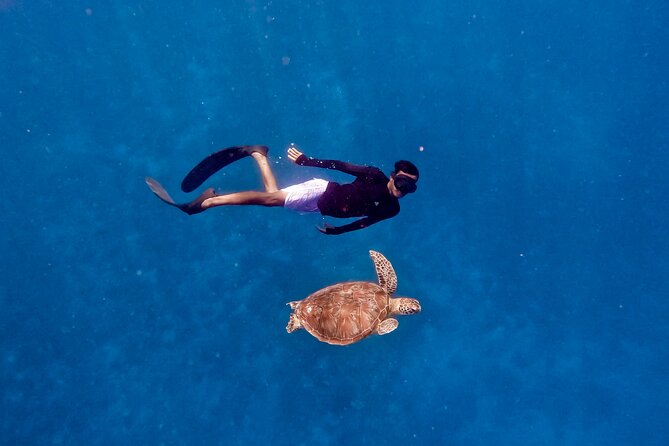 Snorkeling with turtle and statue in Gilis - Stop one: underwater statues and the photo challenge