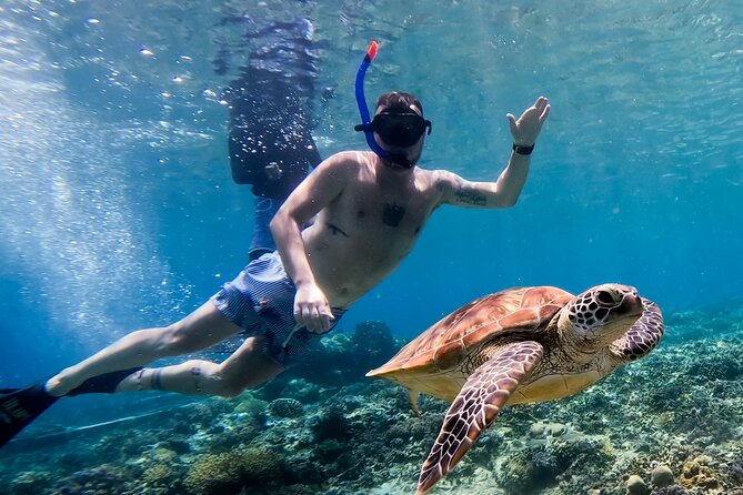 Snorkeling with turtle and statue in Gilis - Stop three: the turtle area