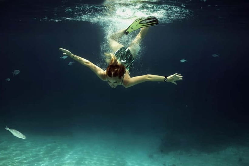 Snorkeling with Turtles and sandbank - Why the turtles make this a strong short trip