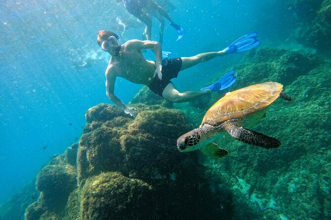 Snorkeling with turtles in Fujairah with BBQ lunch - What the Fujairah snorkeling trip is really like