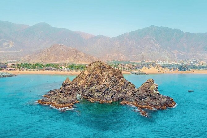 Snorkeling with turtles in Fujairah with BBQ lunch - Sharm Rocks: a second chance for marine life