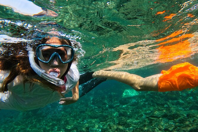 Snorkeling with turtles in Fujairah with BBQ lunch - The BBQ lunch at Reef Oasis