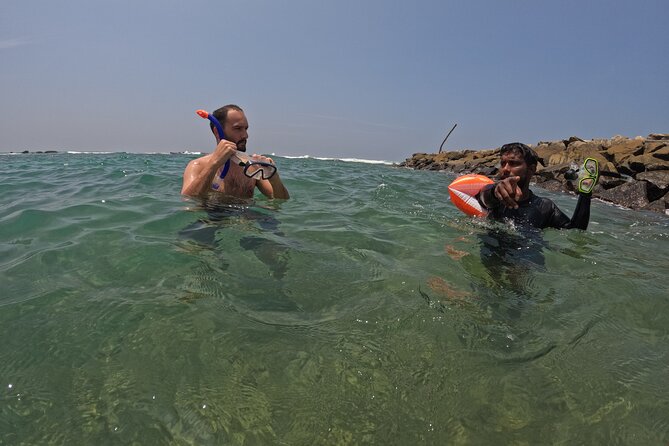 Snorkeling with Turtles in Mirissa - Who Will Enjoy This Best