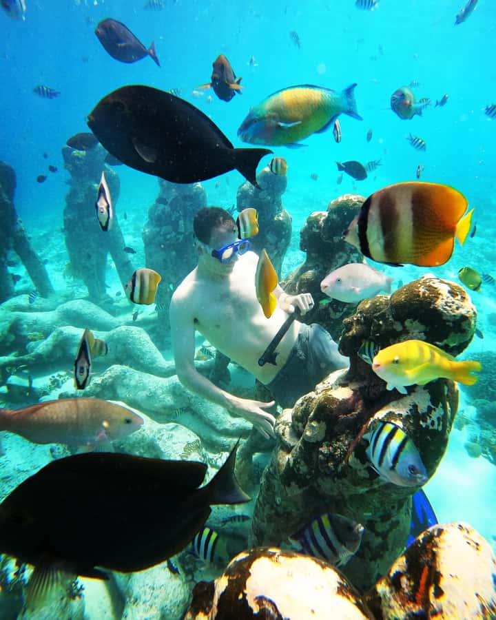 Snorkelling Gili Trawangan, Gili Air & Gili Meno from Lombok - What the private format is really worth