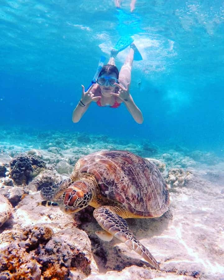Snorkelling Gili Trawangan, Gili Air & Gili Meno from Lombok - The parts that require a little planning