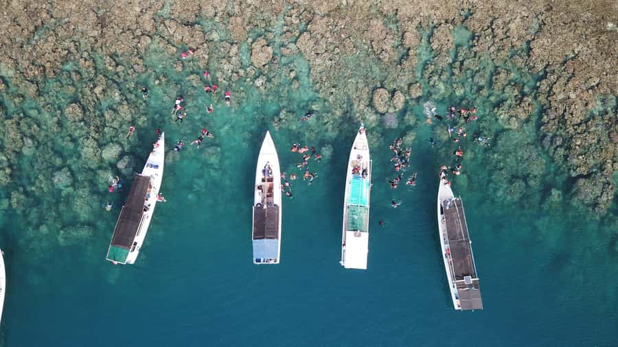 Snorkelling & islandhopping tour Karimunjawa (sharing tour) - Who gets the best value from the $22 price