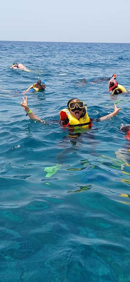 Snorkelling trip with certificate local guide - Is $50 good value for this Sal excursion?