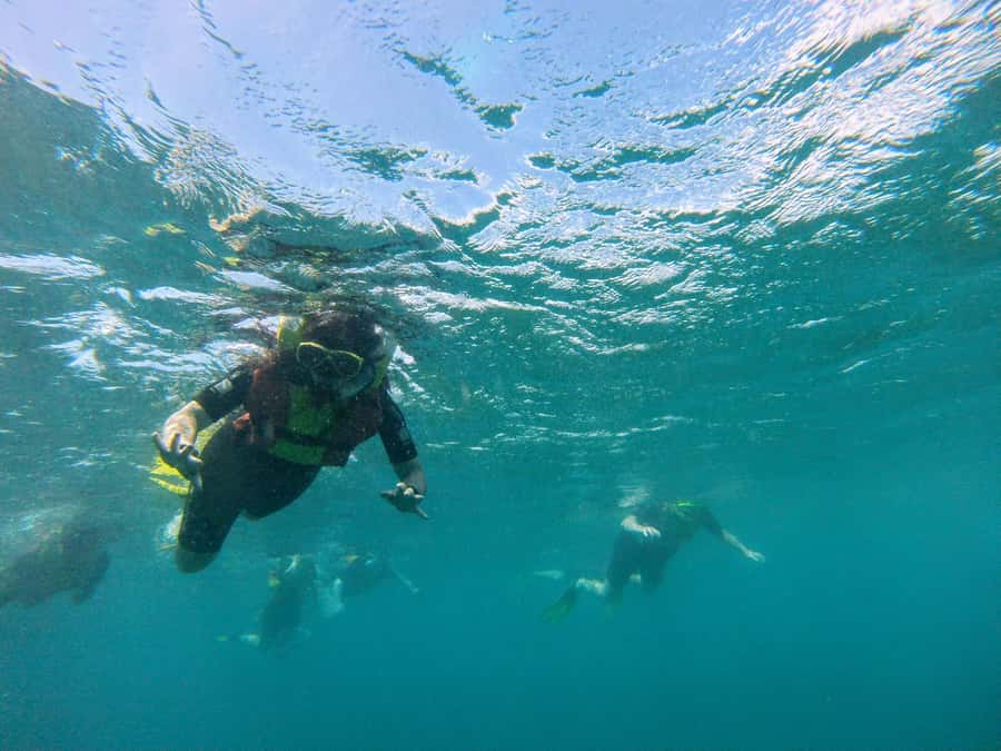 Snorkelling trip with certificate local guide - Who will enjoy this most