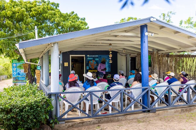 SoCoHo Eco Half Day - Mangrove Kayak & Reef Snorkeling - Beach snacks, drinks, and optional lunch