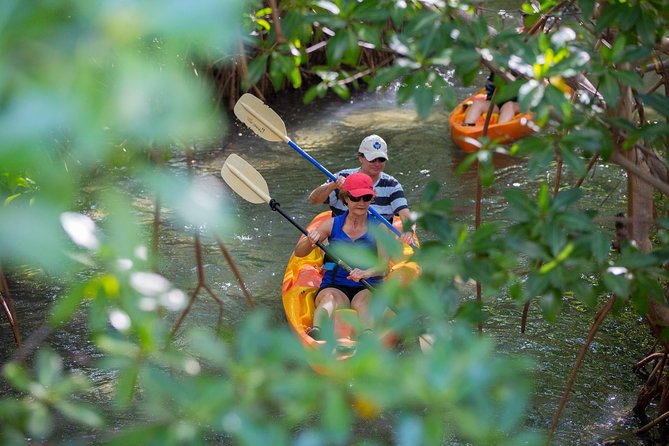 SoCoHo Eco Half Day - Mangrove Kayak & Reef Snorkeling - Guide service and group size