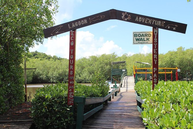 SoCoHo Eco Half Day - Mangrove Kayak & Reef Snorkeling - Who should book this Antigua outing?