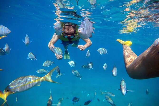 Sosua Party Boat -Snorkeling-Brunch-Drinks-Snacks-Transportation - Music, swimming, and the sea slide
