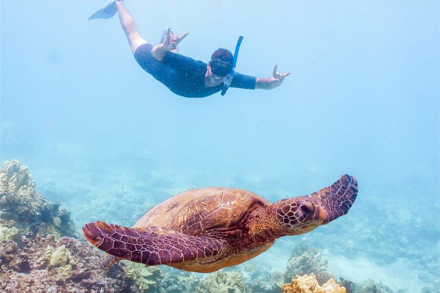 South Maui: Molokini Snorkeling Adventure - Key points at a glance