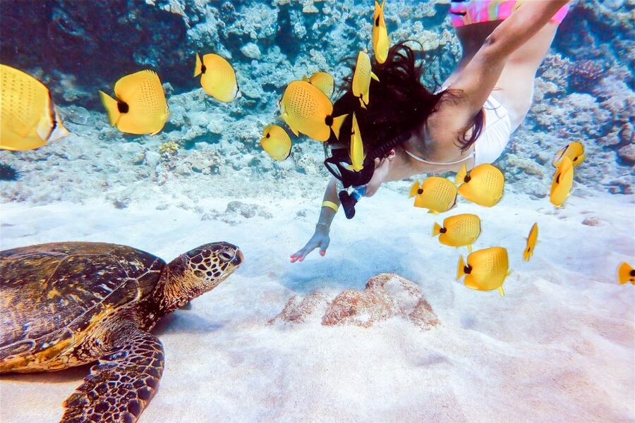 South Maui: Molokini Snorkeling Adventure - Slides, jumping platform, and time aboard