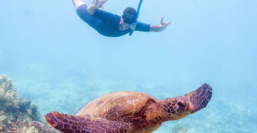 South Maui: Molokini Snorkeling Adventure - Breakfast, safety, and getting ready