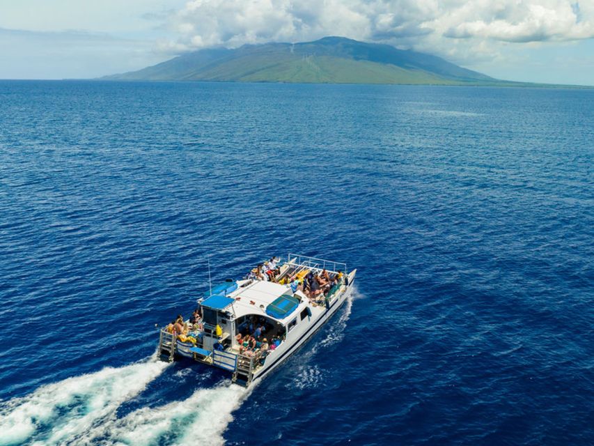South Maui: Molokini & Turtle Town Snorkeling Tour with Meal - Lunch, drinks, and the ride home